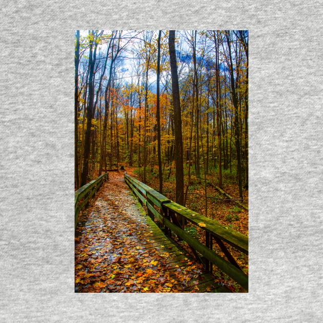 Footbridge in the Autumn Forest by BrianPShaw